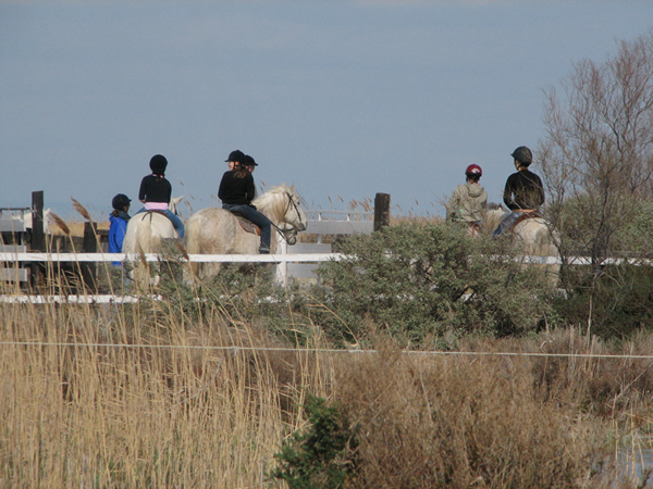 Meisjes op ponies en paarden