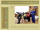 Een thumbnail van de site