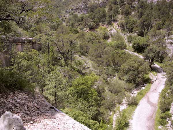 Beekje en weg door groene canyon van bovenaf