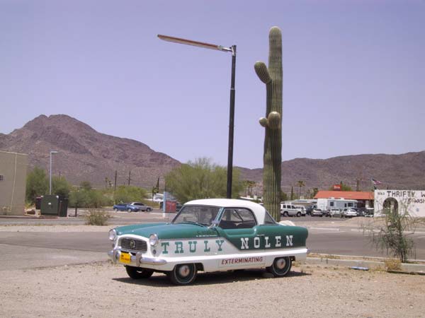 Saguaro cactus naast lantarenpaal, reclame-auto daaronder