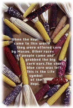 When the Hopi came to this world they were offered corn by Masau.
Other races of people came and grabbed the big corn ears. The short blue corn was left.
This is the Life Symbol of the Hopi.