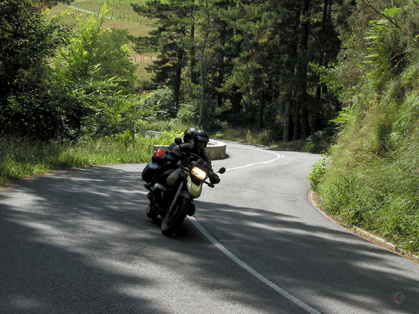Motorcycle curving through green forest