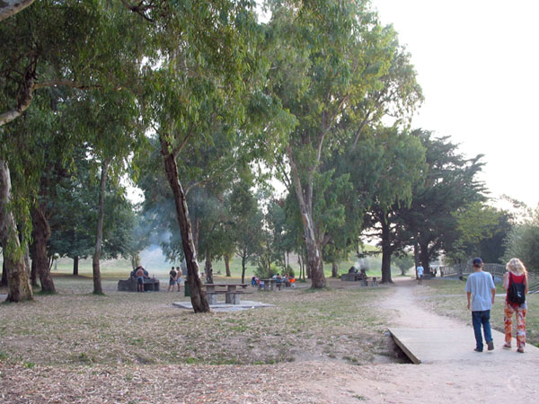 Park met barbecueplekken waar rook vandaan komt