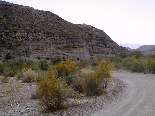 Loodrechte canyonwand met gaten, gele brem naast het pad