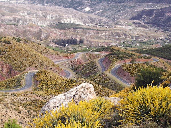 Winding and winding road, red rock, and yellow flowers