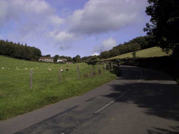 Weg met bocht, weilanden met schapen, oude boerderijen
