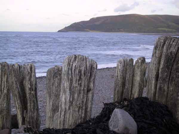 Verweerde houten palen, de zee