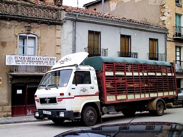 Vrachtwagen met schapen voor een Funerario