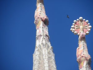 Torentje van de Sagrada Familia