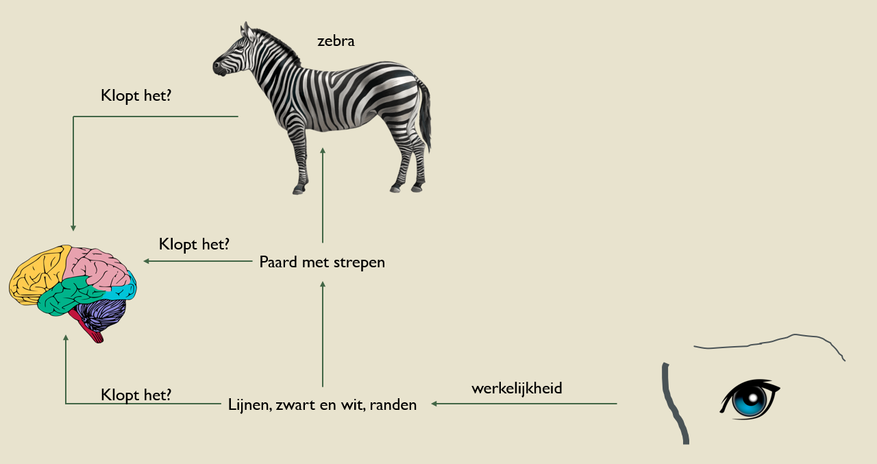 Vanuit de details, autisme en voorspellende hersenen 2 | Syl.via.sofie