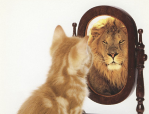kat kijkt in spiegel en ziet leeuw