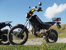 Yamaha Tricker