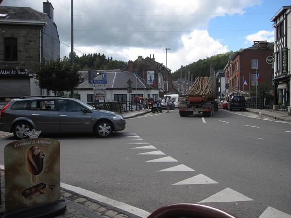 Vrachtwagen met bomen, man en SuperTenere