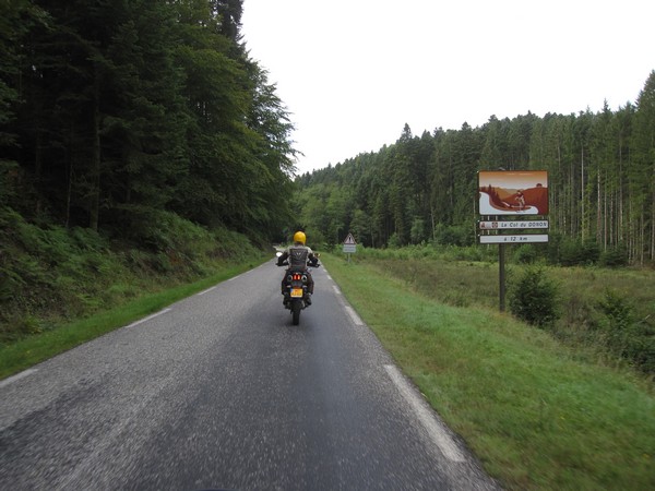 Tenere over weg door het bos