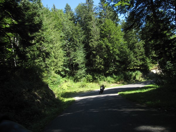 Tenere door het bos