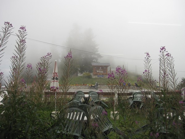 Terras, mist