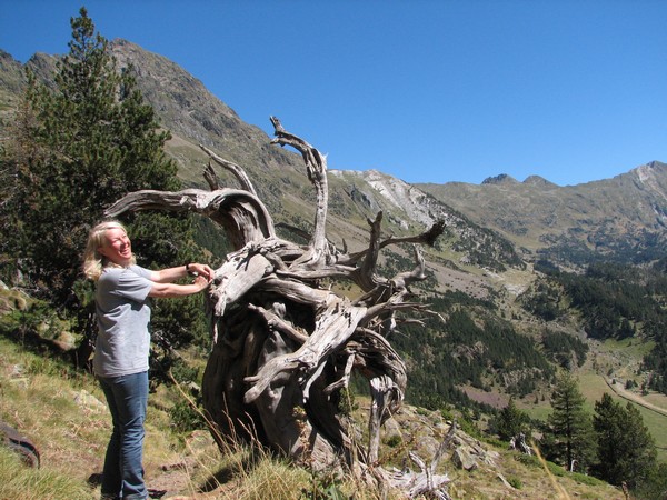 Sylvia met dode boom