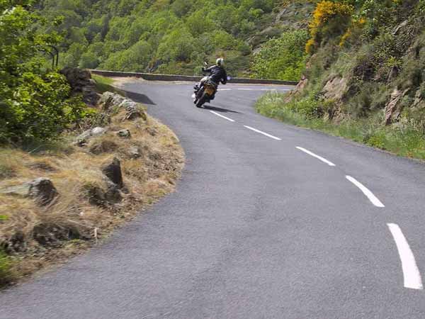 Sylvia on a motorcycle around the corner, yellow flowers, rocks