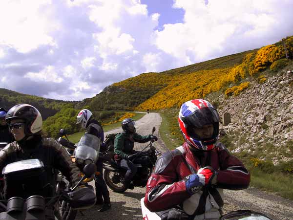 Yellow flowers, motorcycle riders stopped, narrow road