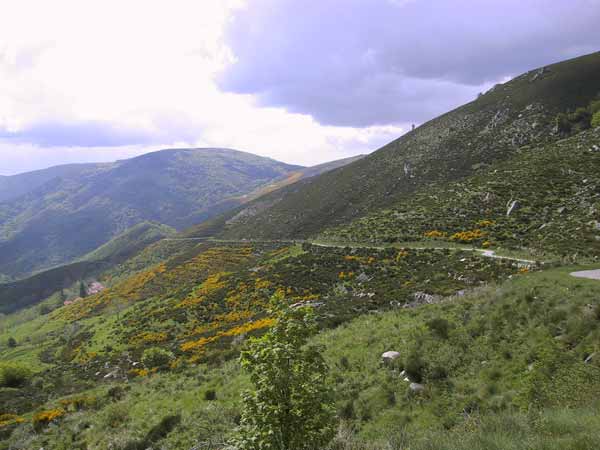 Bergen met brem, weggetjes langs de hellingen