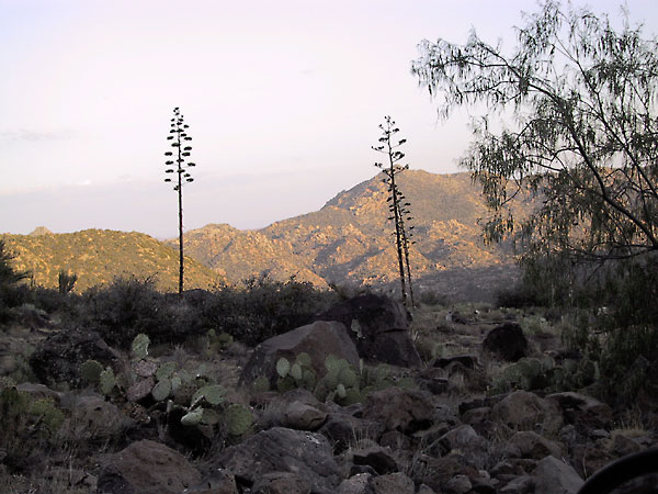 Rocks, agaves, the sun on distant hills