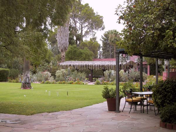 Tuin met terras, gras, cactussen en pijnbomen