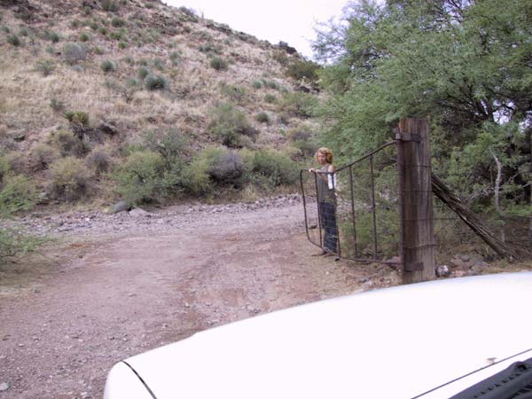 A cattle gate