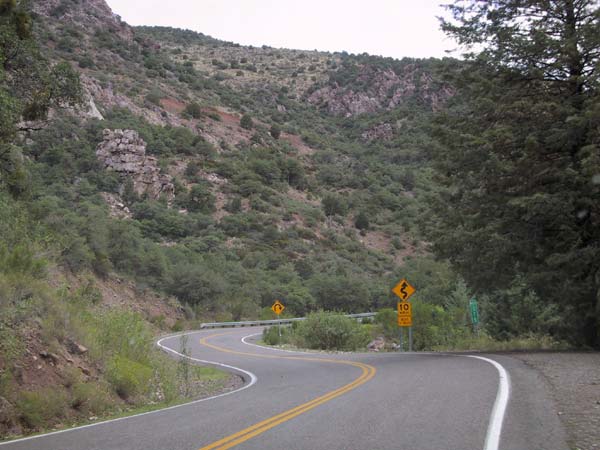Cornering road between trees