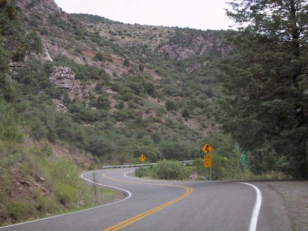 Cornering road between trees