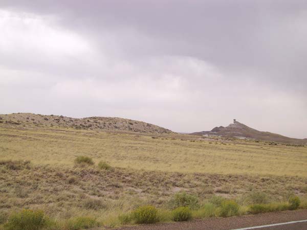 Dor grasland met rots op achtergrond