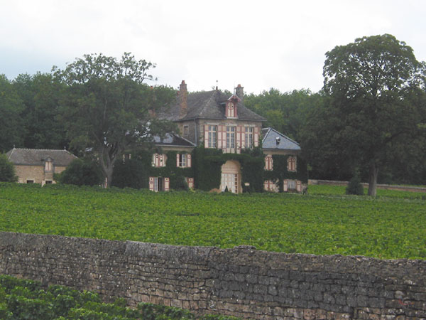 Grote villa in wijngaard met oud muurtje ervoor