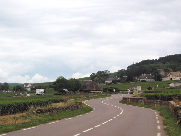 Weg met bochten, oude boerderijen, gras