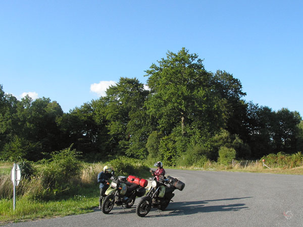 Op de kaart kijken op kruising met bomen