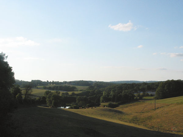 Heuvellandschap met weiden en bossen in avondlicht