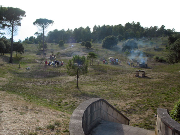 Groot veld vol barbecuende mensen