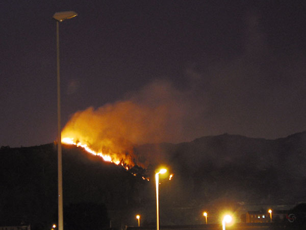 Bosbrand in het donker