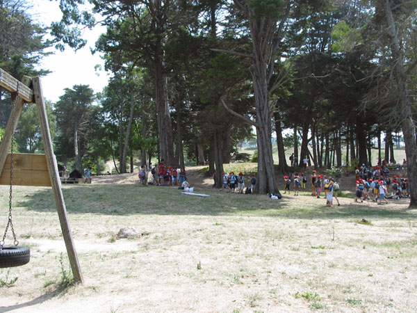 Park met veel kleine kindertjes met rode petjes