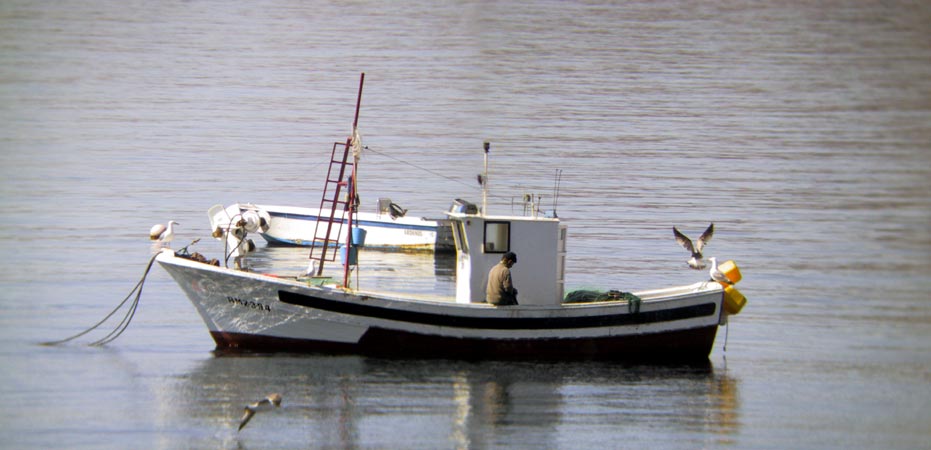 Vissersboot op kalme zee, met visser aan boord