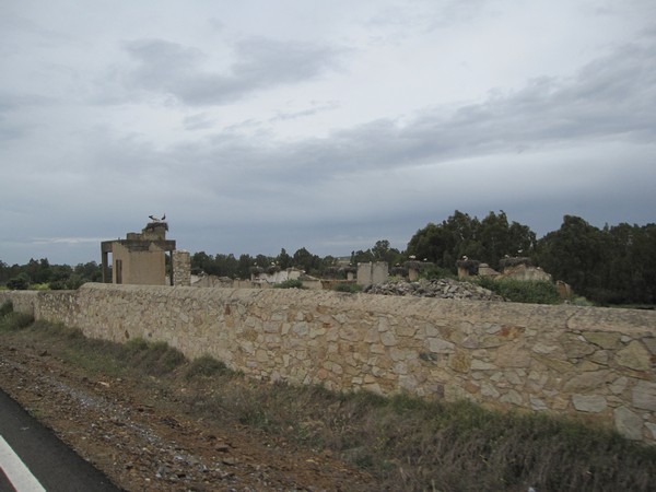 ruines met Ooievaars