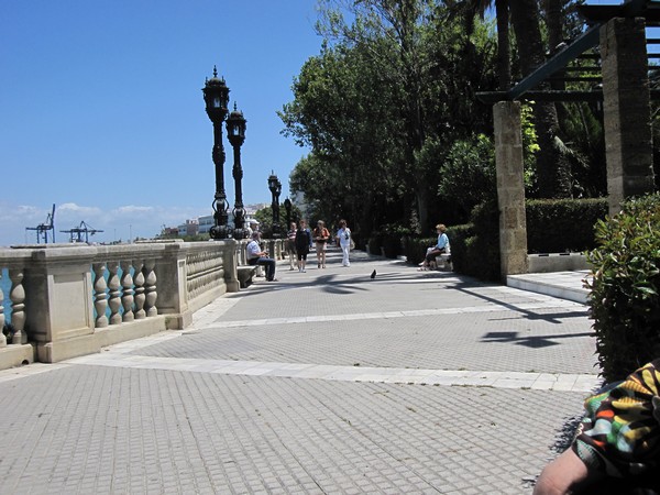 Park, boulevard, water
