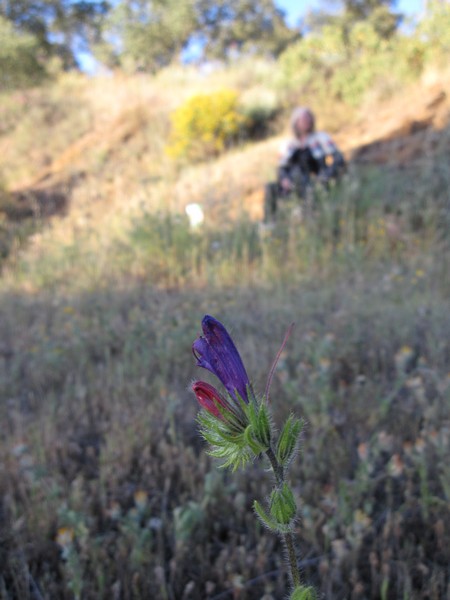 Bloem en Sylvia