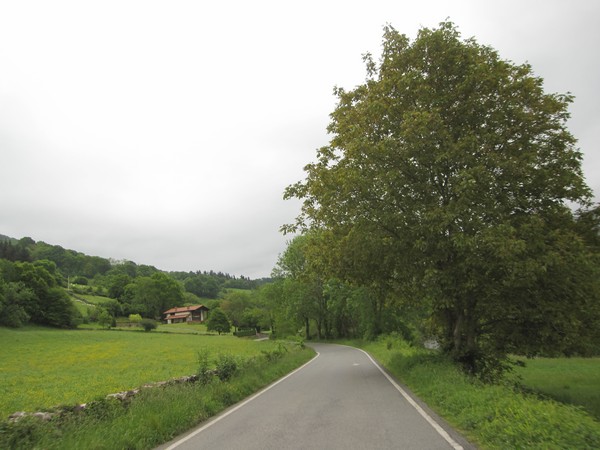 weggetje in groen