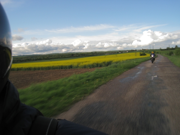 Motorrijder langs oolzaadveld