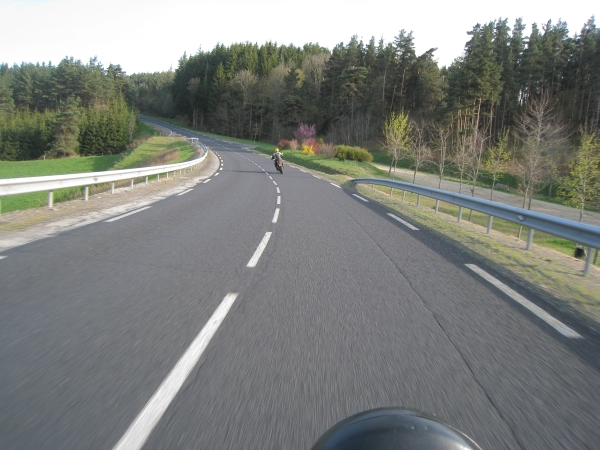 Weg met gekleurde struiken