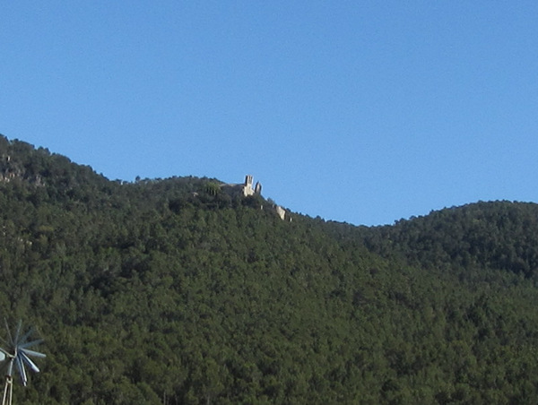 Kerk tussen bomen