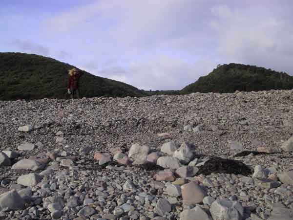 Sylvia op kiezelstrand met groene heuvels daarachter