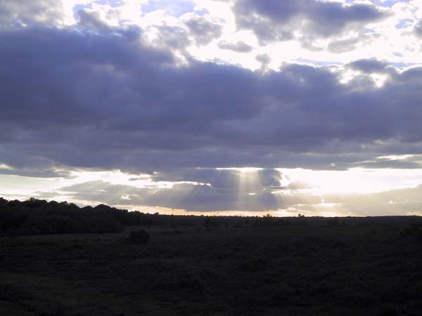 Zonnestralen uit de wolken over heidegebied