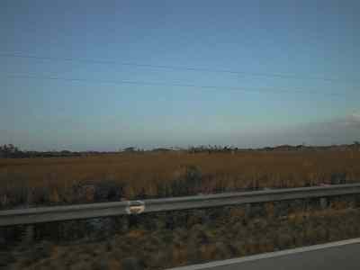 Grass prairie