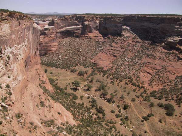 Canyon met groene bodem zonder asfalt en rode wanden