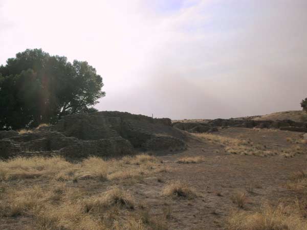 Remnants of Anasazi dwellings